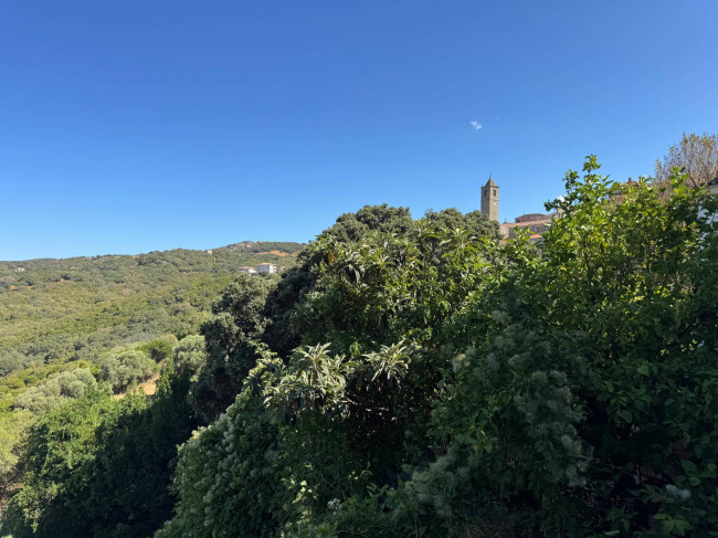 Casa singola in vendita a Luogosanto