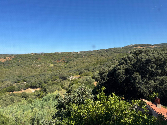 Casa singola in vendita a Luogosanto