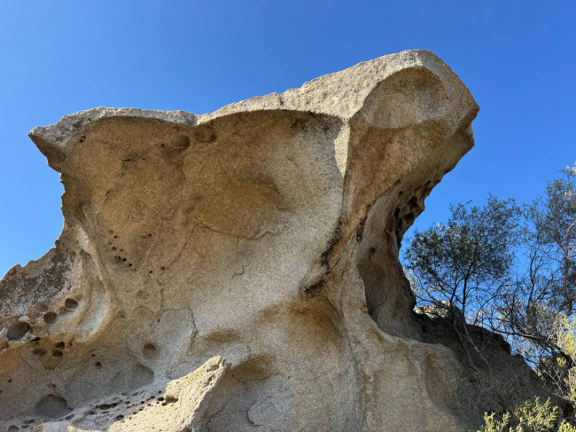 STAZZU '' LA CASA NOA '' in vendita a Luogosanto