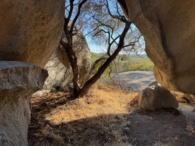 STAZZU '' LA CASA NOA '' in vendita a Luogosanto