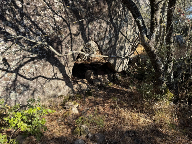STAZZU '' LA CASA NOA '' in vendita a Luogosanto