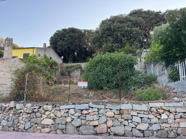 Casa singola in vendita a Luogosanto