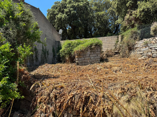 Casa singola in vendita a Luogosanto