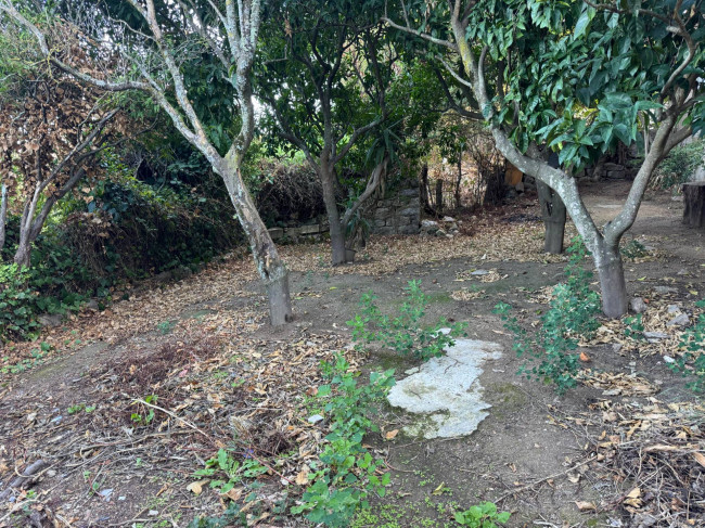 Casa singola in vendita a Luogosanto