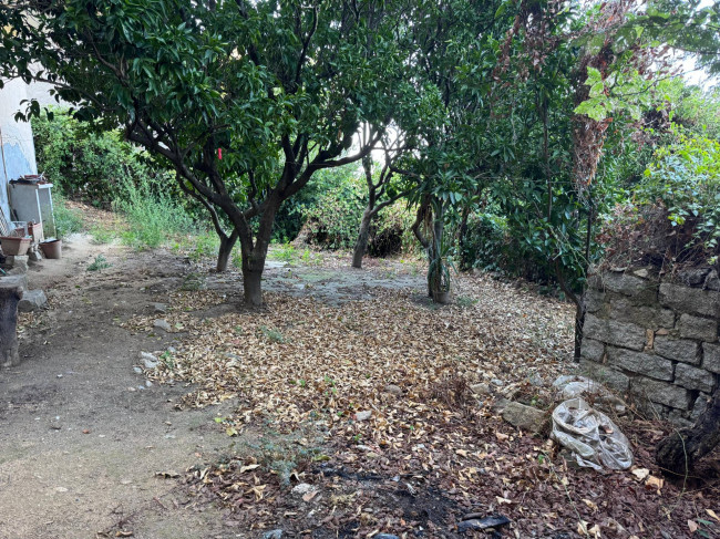 Casa singola in vendita a Luogosanto