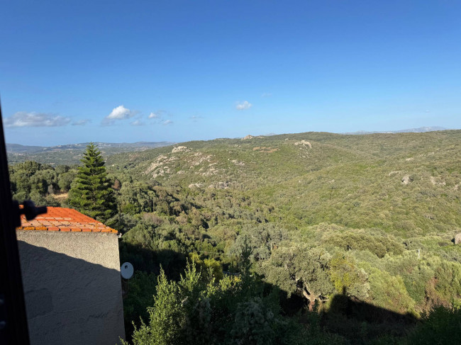 Casa singola in vendita a Luogosanto