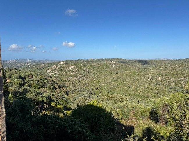 Casa singola in vendita a Luogosanto