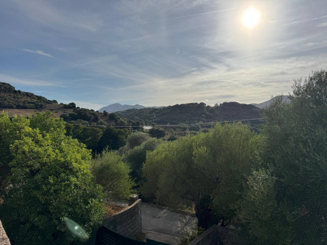 Casa singola in vendita a Luogosanto