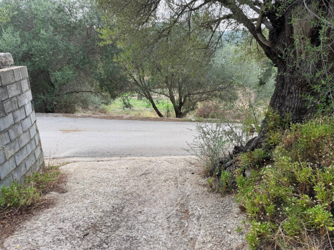 Casa singola in vendita a Luogosanto