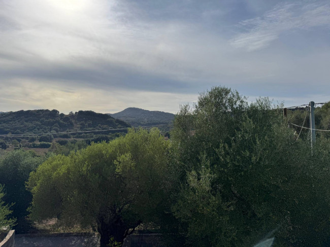 Casa singola in vendita a Luogosanto