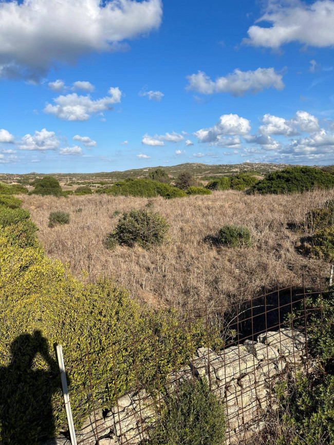 Terreno Agricolo in vendita a Santa Teresa Gallura