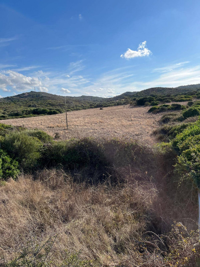 Terreno Agricolo in vendita a Santa Teresa Gallura