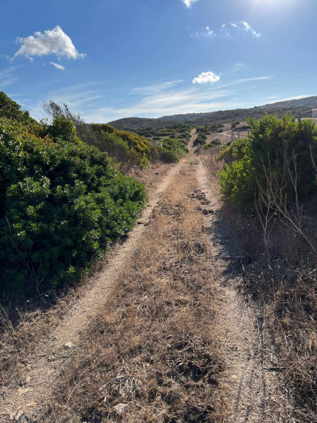 Terreno Agricolo in vendita a Santa Teresa Gallura