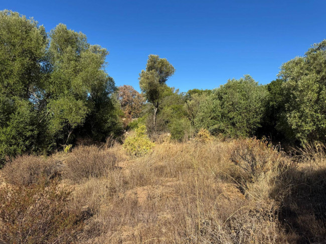 Terreno Agricolo in vendita a Arzachena