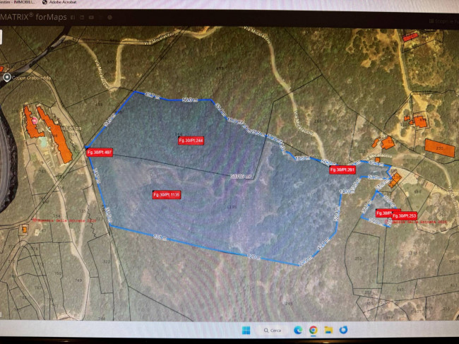 Terreno Agricolo in vendita a Arzachena