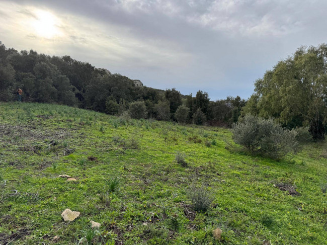 OCCASIONE TERRENO EDIFICABILE in vendita a Luogosanto