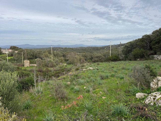 OCCASIONE TERRENO EDIFICABILE in vendita a Luogosanto