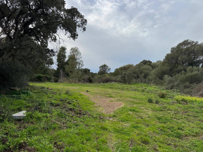 OCCASIONE TERRENO EDIFICABILE in vendita a Luogosanto