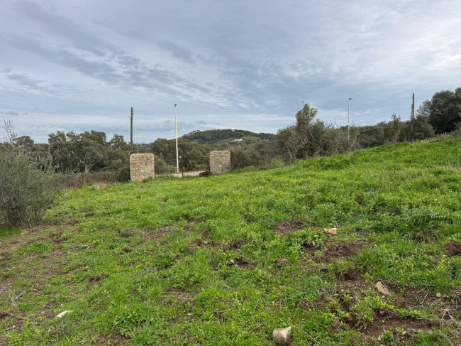 OCCASIONE TERRENO EDIFICABILE in vendita a Luogosanto