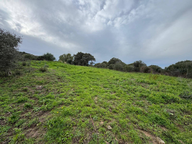 OCCASIONE TERRENO EDIFICABILE in vendita a Luogosanto