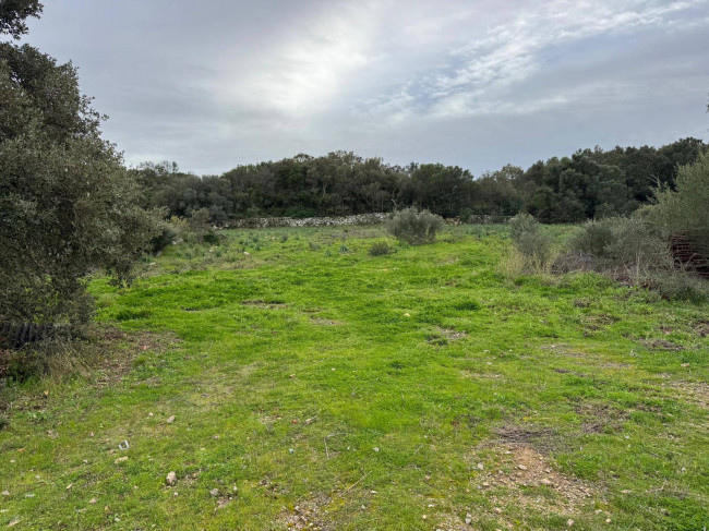 OCCASIONE TERRENO EDIFICABILE in vendita a Luogosanto
