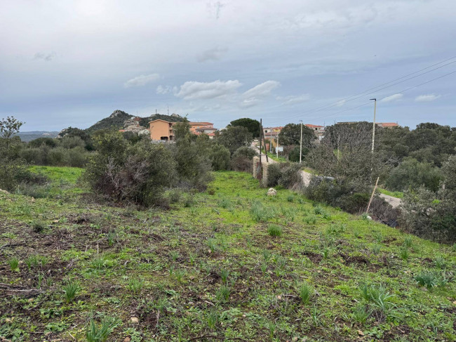 OCCASIONE TERRENO EDIFICABILE in vendita a Luogosanto