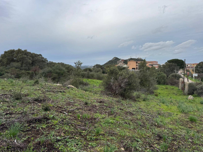 OCCASIONE TERRENO EDIFICABILE in vendita a Luogosanto