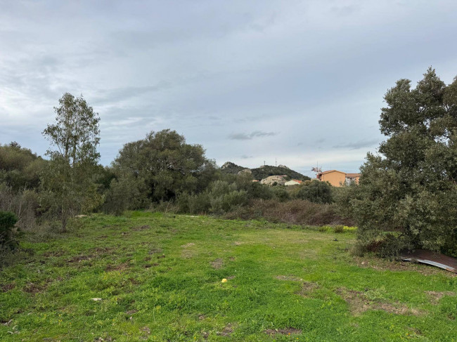 OCCASIONE TERRENO EDIFICABILE in vendita a Luogosanto