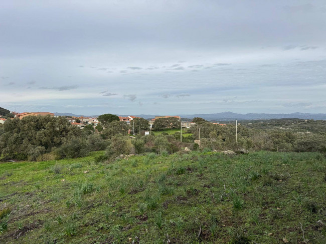 OCCASIONE TERRENO EDIFICABILE in vendita a Luogosanto