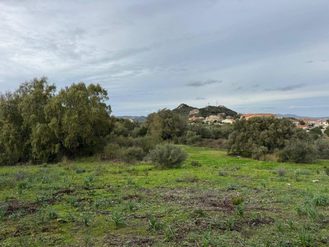 OCCASIONE TERRENO EDIFICABILE in vendita a Luogosanto