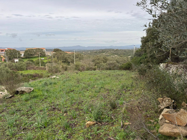OCCASIONE TERRENO EDIFICABILE in vendita a Luogosanto