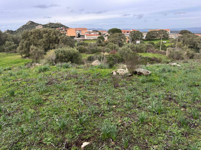 OCCASIONE TERRENO EDIFICABILE in vendita a Luogosanto