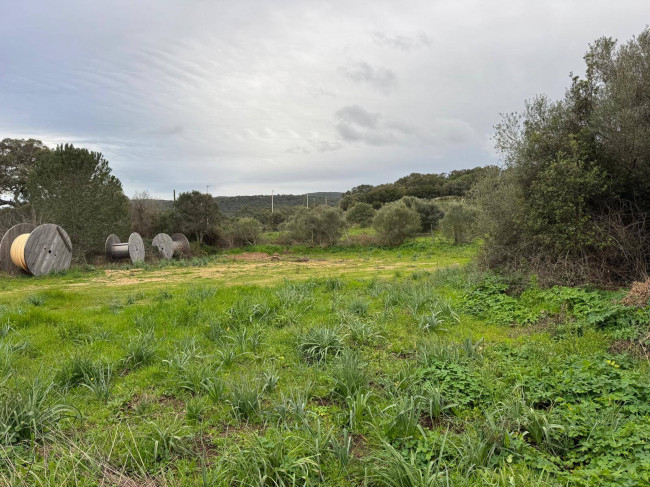 OCCASIONE TERRENO EDIFICABILE in vendita a Luogosanto