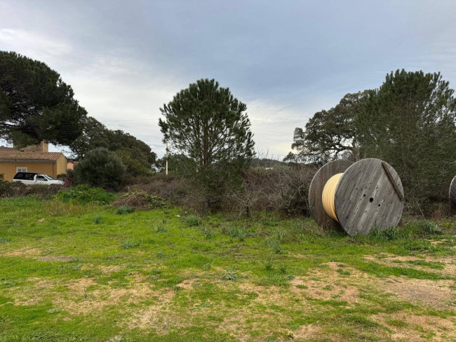 OCCASIONE TERRENO EDIFICABILE in vendita a Luogosanto