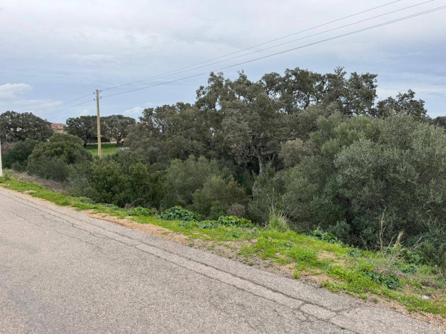 OCCASIONE TERRENO EDIFICABILE in vendita a Luogosanto