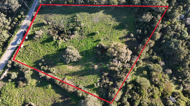 OCCASIONE TERRENO EDIFICABILE in vendita a Luogosanto