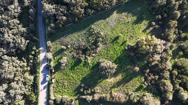 OCCASIONE TERRENO EDIFICABILE in vendita a Luogosanto