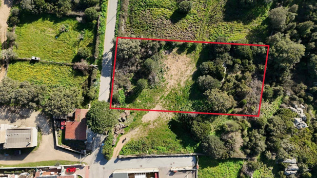 OCCASIONE TERRENO EDIFICABILE in vendita a Luogosanto