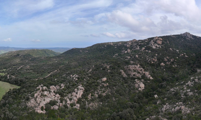 Terreno Agricolo in vendita a Aglientu