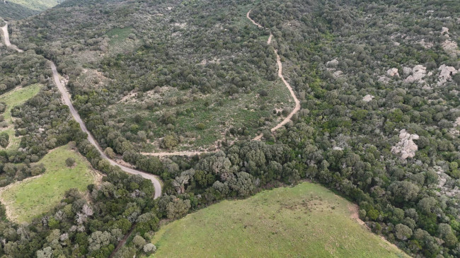 Terreno Agricolo in vendita a Aglientu