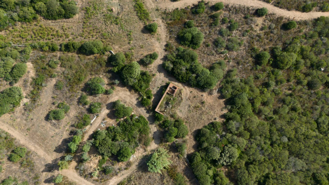Terreno Agricolo in vendita a Santa Teresa Gallura