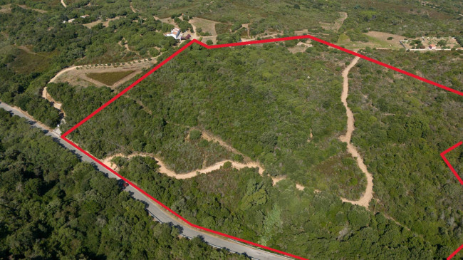 Terreno Agricolo in vendita a Santa Teresa Gallura