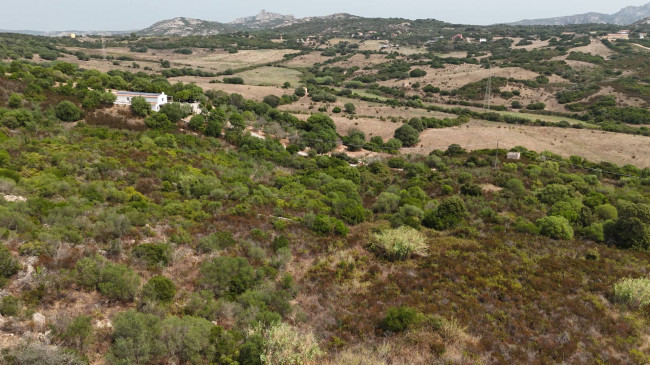 Terreno Agricolo in vendita a Arzachena