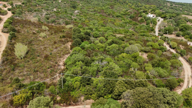 Terreno Agricolo in vendita a Arzachena