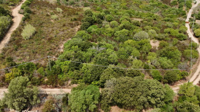 Terreno Agricolo in vendita a Arzachena