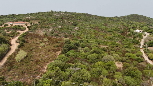 Terreno Agricolo in vendita a Arzachena
