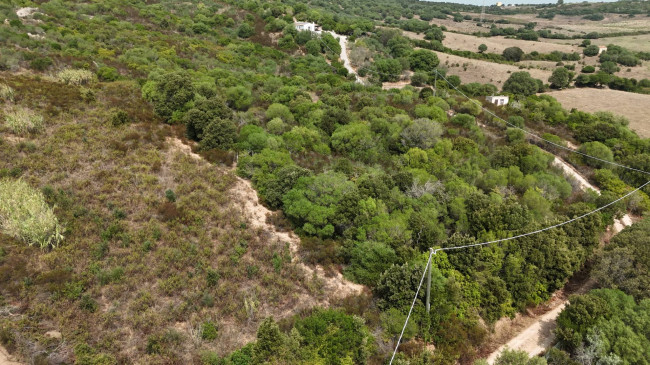 Terreno Agricolo in vendita a Arzachena