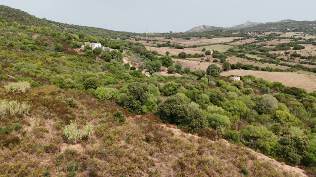 Terreno Agricolo in vendita a Arzachena