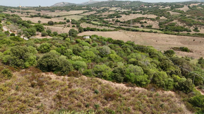 Terreno Agricolo in vendita a Arzachena