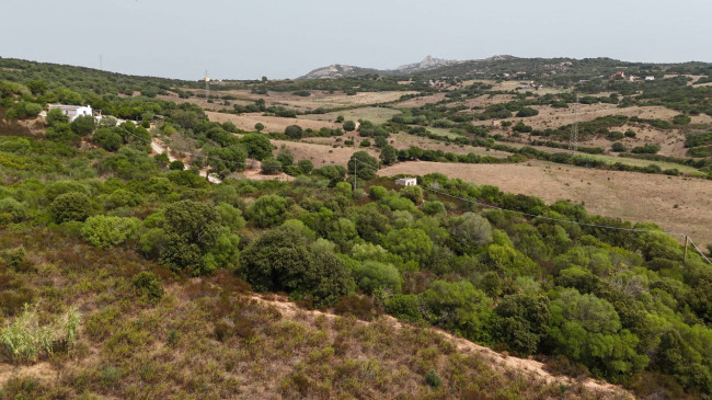 Terreno Agricolo in vendita a Arzachena